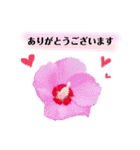 きれいなお花のスタンプpart2（個別スタンプ：4）