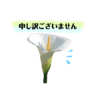 きれいなお花のスタンプpart2（個別スタンプ：5）
