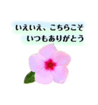 きれいなお花のスタンプpart2（個別スタンプ：7）