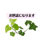 きれいなお花のスタンプpart2（個別スタンプ：9）