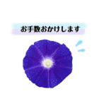 きれいなお花のスタンプpart2（個別スタンプ：10）