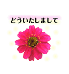 きれいなお花のスタンプpart2（個別スタンプ：12）