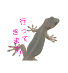 ヤモリのすたんぷ2 -girly-（個別スタンプ：6）
