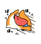 とける犬（個別スタンプ：13）
