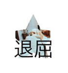 LADYスタンプ（個別スタンプ：4）