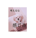 LADYスタンプ（個別スタンプ：9）