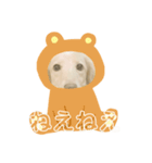 彼の名前はなんでしょう？（個別スタンプ：3）