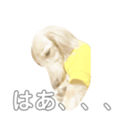 彼の名前はなんでしょう？（個別スタンプ：5）