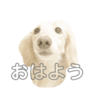 彼の名前はなんでしょう？（個別スタンプ：8）