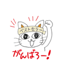 おはニャン！ネコのぶん＆ゆう（個別スタンプ：8）