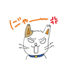 おはニャン！ネコのぶん＆ゆう（個別スタンプ：17）