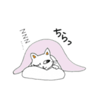 おはニャン！ネコのぶん＆ゆう（個別スタンプ：28）