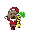 柴犬とトイプードルのクリスマス＆お正月（個別スタンプ：11）