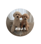 愛犬らぶり＆アーサーのスタンプです（個別スタンプ：1）