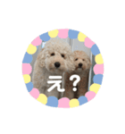 愛犬らぶり＆アーサーのスタンプです（個別スタンプ：2）