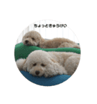 愛犬らぶり＆アーサーのスタンプです（個別スタンプ：9）