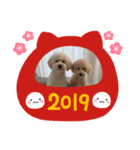 愛犬らぶり＆アーサーのスタンプです（個別スタンプ：15）