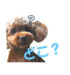 ちょこすたんぷ②（個別スタンプ：7）