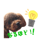 ちょこすたんぷ②（個別スタンプ：8）