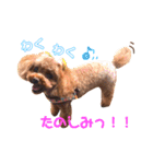 ちょこすたんぷ②（個別スタンプ：11）