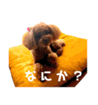ちょこすたんぷ②（個別スタンプ：13）