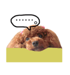 ちょこすたんぷ②（個別スタンプ：18）