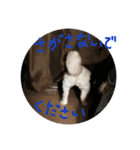 Momotaro is my  dog .Ⅲ（個別スタンプ：8）