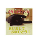 エルの。（個別スタンプ：8）