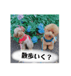 色々ペット（個別スタンプ：8）
