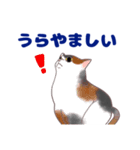 コンビニエンス猫（個別スタンプ：2）