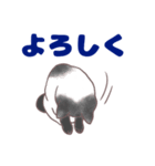 コンビニエンス猫（個別スタンプ：4）