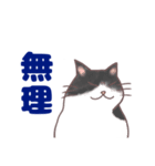 コンビニエンス猫（個別スタンプ：5）