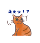 コンビニエンス猫（個別スタンプ：10）