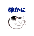コンビニエンス猫（個別スタンプ：17）