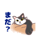 コンビニエンス猫（個別スタンプ：18）