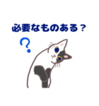 コンビニエンス猫（個別スタンプ：19）