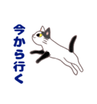 コンビニエンス猫（個別スタンプ：23）