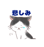 コンビニエンス猫（個別スタンプ：24）
