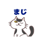 コンビニエンス猫（個別スタンプ：25）