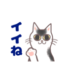 コンビニエンス猫（個別スタンプ：28）