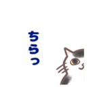 コンビニエンス猫（個別スタンプ：34）