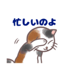 コンビニエンス猫（個別スタンプ：35）