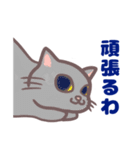 コンビニエンス猫（個別スタンプ：36）