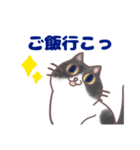 コンビニエンス猫（個別スタンプ：38）