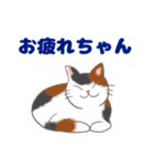 コンビニエンス猫（個別スタンプ：39）