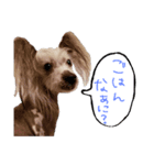 LIAM part1（個別スタンプ：1）