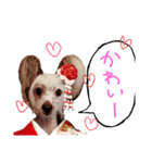 LIAM part1（個別スタンプ：4）
