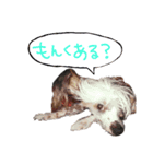 LIAM part1（個別スタンプ：5）