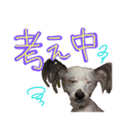 LIAM part1（個別スタンプ：7）
