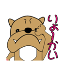 ぶるぶるブルドッグ1（個別スタンプ：3）